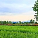 바람내음 이미지
