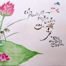 마음 품은 캘리그라피 이미지