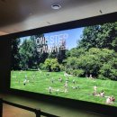 삼성생명 앞 노상 이미지