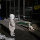 대관령황토펜션 이미지