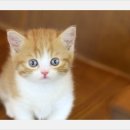 인덕원역 7번출구 인덕원성당옆 이미지