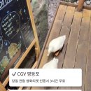 주렁주렁