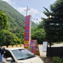 쌍곡반점 이미지