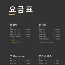 체크인독 애견유치원 이미지