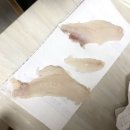 라암도해상공원 | [안면도 해상펜션] 안면 라암도 해상낚시공원 후기