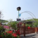 안젤라농장 이미지