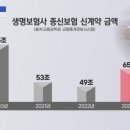 [인구 변화 직격탄]① 위기의 종신보험…출혈경쟁·영역다툼 이미지