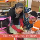 🥬아삭아삭, 김치만들기 대작전!🌶️ 이미지