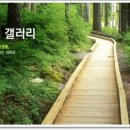 남포항 다목적광장 이미지