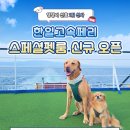펫클라우드 네이버블로그