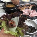 고술비