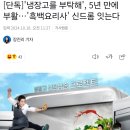 JTBC 냉장고를 부탁해 5년만에 부활 이미지