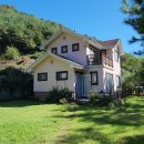 양지-3353 이미지