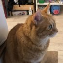 진성동물병원 이미지