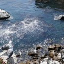 영혼의친구 이미지