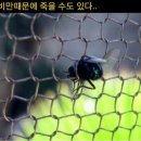 웰퍼스널트레이닝 이미지