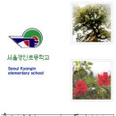 서울경인초등학교 이미지