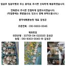 김성곤농장 이미지