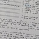 양지민박 이미지