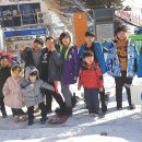 한국체대 양지 태권도 네이버블로그