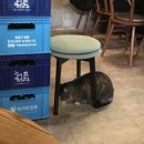 빨간너구리 | 모란 맛집 너구리굴 닭전골 메뉴 추천 화장실 후기