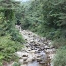 금성민박 이미지