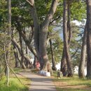＜고구마 된장＞자은도 나는 건 고구마와 땅콩 자은도 사람 하나둘 외지로 이미지