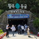 기*령 | 가볼만한곳] 여름엔 시원하고 겨울엔 따뜻한 '활옥동굴'(입장료, 주차, 보트, 와사비 아이스크림 맛 후기)