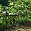 대자연농원 이미지