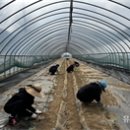 국토정중앙면사무소 이미지