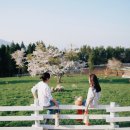 상상목장 이미지