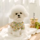 롤링페페