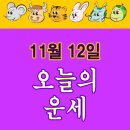 2025년 11월 12일 수요일 오늘의운세 무료운세 이미지