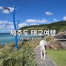 비자림가든 | 제주도 태교여행 4일차, 임산부 산책코스로 너무좋은 비자림과 함덕