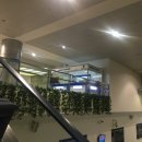 미린모텔 | [호치민,무이네 자유여행] 호치민 새벽 비행기, 탄손누트국제공항 새벽도착, 환전, 미린호텔