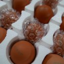 삼기농장 이미지