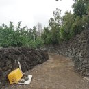 예래 본향당 이미지