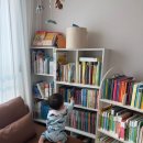 대화올챙이 | [자연관찰 전집 추천] 그레이트북스 놀라운 자연 1년 사용 후기｜프뢰벨까지 들인 이유