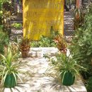 성모기획 이미지