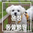 운정튼튼동물병원 이미지
