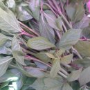 묵산미술박물관 이미지