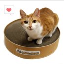 (주)두성인터내셔날 이미지