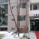 경기도 수원시 팔달구 권광로317번길 12 (인계동, 선경아파트) 이미지