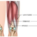 마디움한의원 이미지