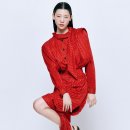 레드토마토 이미지