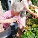 더본행복타운 이미지