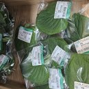 강서농협 하나로마트 | 강서농협 하나로마트 방화 본점 주차, 로컬푸드 직매장