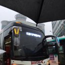 광성교회 앞 이미지