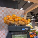 환타파인민박 | [19일 17박 유럽] 리스본에서 포르투로~(CP열차 탑승 후기)