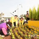 장성읍주민자치센터 이미지